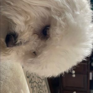 Meet your Posher, Angie